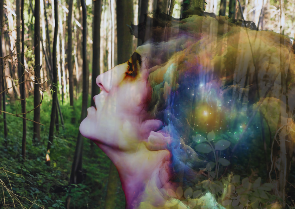 Human Design ❊ DEINE energetische Landkarte